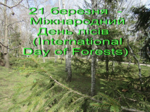 Міжнародний День лісів 